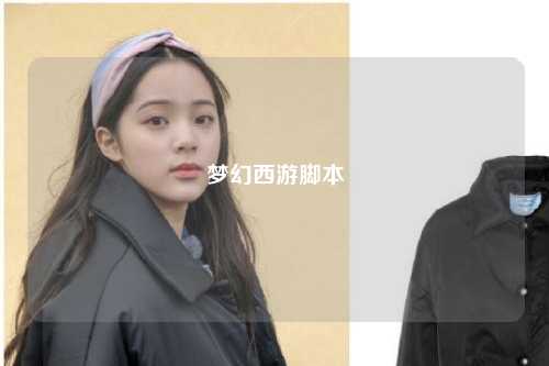 夢(mèng)幻西游腳本